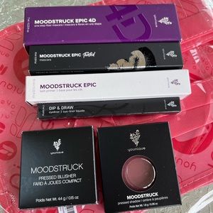 YOUNIQUE Makeup Blowout ** 5 ** Eye items, one blush  plus bag